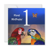HYPER PARROTS / First Birthday Party