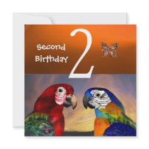 HYPER PARROTS / First Birthday Party, Orange