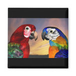 HYPER PARROTS /RED AND BLUE ARA