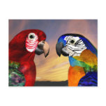 HYPER PARROTS / RED AND BLUE ARA postcards