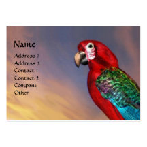 HYPER PARROTS / RED ARA BUSINESS CARDS