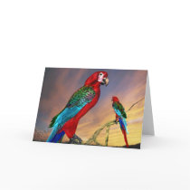 HYPER PARROTS / RED ARA