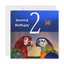 HYPER PARROTS / Second Birthday Party