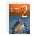 HYPER PARROTS / Second Birthday Party Orange Blue