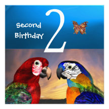HYPER PARROTS /Second Birthday Party, Turquase Announcement