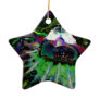 Hypnofluid Ornaments