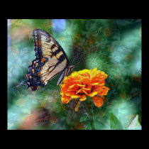 Hypnotic Butterfly posters
