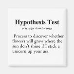 Hypothesis Testing Definition Magnets
