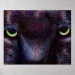 Hyptnotist, Fine Art Prints