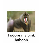 I adore my pink baboon t-shirts