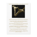 I Am A Social Worker, These Are My Hands ! postcards