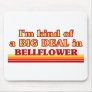 I am kind of a BIG DEAL in Bellflower Mousepad