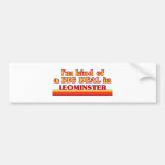 I am kind of a BIG DEAL in Leominster Bumper Stickers