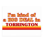 I am kind of a BIG DEAL in Torrington Postcard
