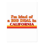 I am kind of a BIG DEAL on California Post Cards