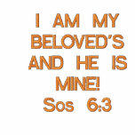 I AM MY BELOVED'S AND HE IS MINE!Sos 6:3 embroidered shirts