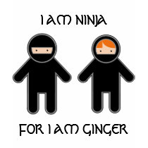 I am ninja. For I am ginger. T-shirt