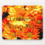 I am NOT a wallflower!
