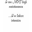 I am NOT high maintenance...I'm labour intensive t-shirts