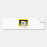I am smiling bumper stickers