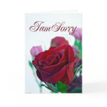 I am sorry card with a red rose