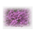 I am sorry - Dreamy pink flowers postcards