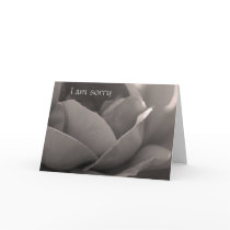 I am sorry - rose card in b&w