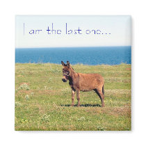 I am the last one... Magnet