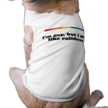I'm gay but I don't like rainbows