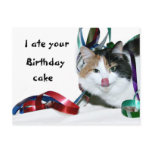 I ate your birthday cake postcards
