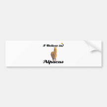 i believe in alpacas bumper sticker