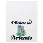 i believe in Artemis flyers