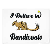 i believe in bandicoots custom invites