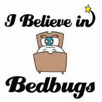 i believe in bedbugs photo sculpture