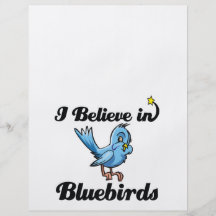 i believe in bluebirds full colour flyer