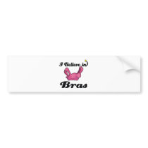 i believe in bras bumper sticker