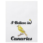 i believe in canaries flyers