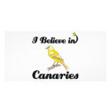 i believe in canaries photo cards