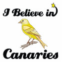 i believe in canaries photo sculptures