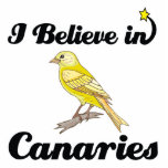 i believe in canaries photo sculptures