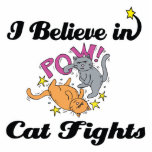 i believe in cat fights photo sculptures
