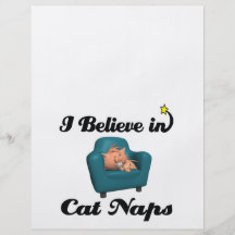 i believe in cat naps flyers
