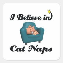 i believe in cat naps sticker