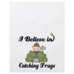 i believe in catching frogs flyers