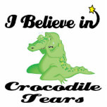 i believe in crocodile tears photo sculptures