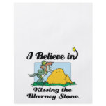 i believe in kissing the blarney stone flyers