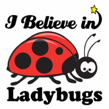 i believe in ladybugs acrylic cut outs