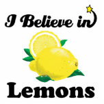 i believe in lemons photo sculptures