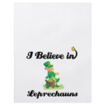i believe in leprechauns flyers