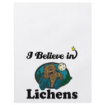 i believe in lichens flyers
